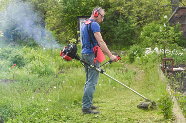 un uomo falcia l'erba con un decespugliatore a benzina - electric trimmer foto e immagini stock