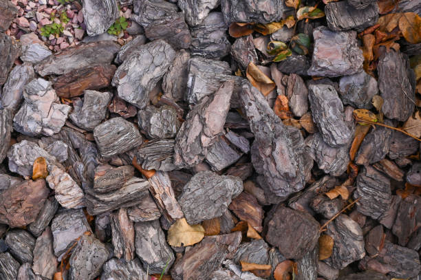 istock tree bark for mulching. The decor has a textured background. close-up 2091060211