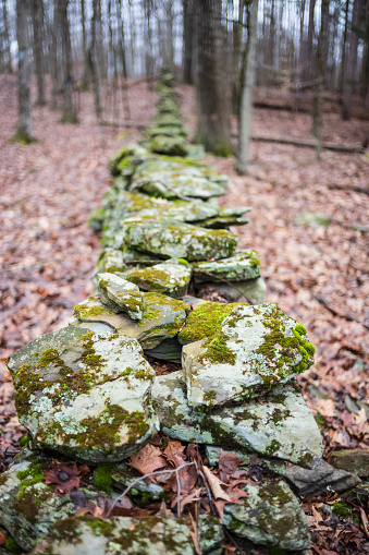 The Woodbourne Forest and Wildlife Preserve just south of Montrose, Pennsylvania, photographed during a cloudy winter day. An old stone wall made by farmers to separate properties.