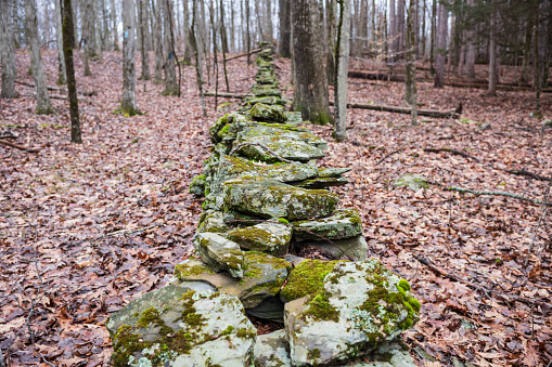 The Woodbourne Forest and Wildlife Preserve just south of Montrose, Pennsylvania, photographed during a cloudy winter day. An old stone wall made by farmers to separate properties.