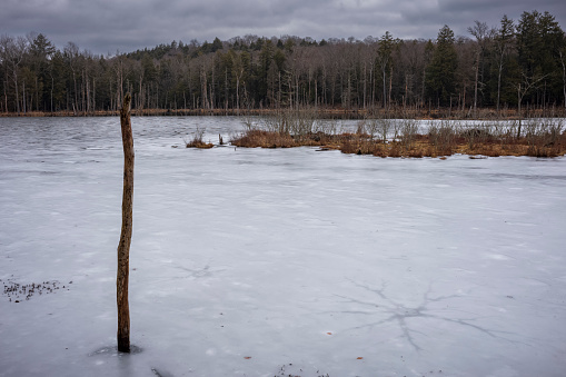 The Woodbourne Forest and Wildlife Preserve just south of Montrose, Pennsylvania, photographed during a cloudy winter day. Dead tree trunks stand tall from a frozen lake.