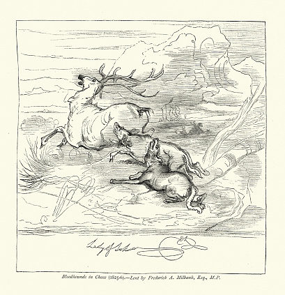 Vintage illustration Stag Hunting in Scottish Highlands,, Bloodhounds in chase, 1820s, after Edwin Landseer, Victorian art
