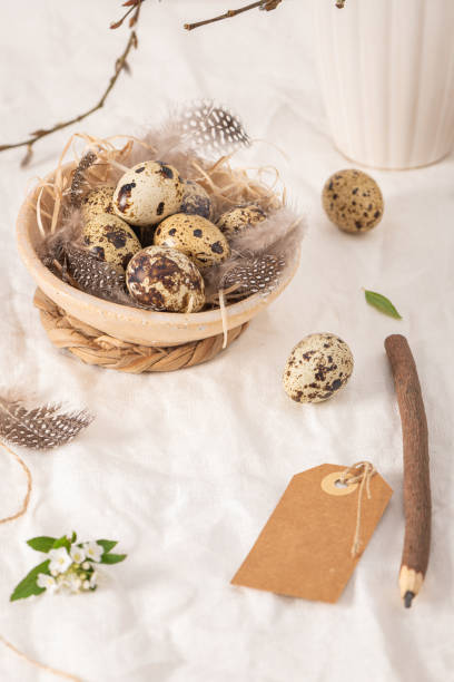 istock Quail eggs in a ceramic bowl decorated with feather. Organic food. Rustic style. Easter background with label 2091246585