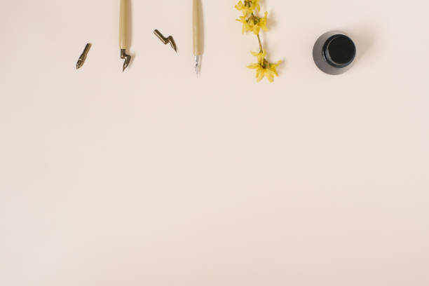 Calligraphy, sharp pen, ink, quills, forsythia flower on beige background with copying space