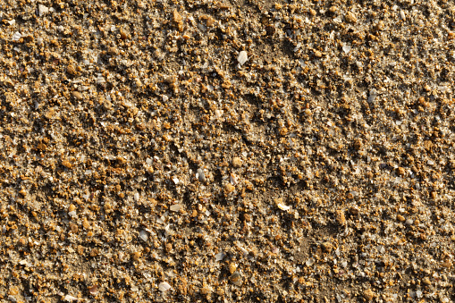 Texture wet sea sand