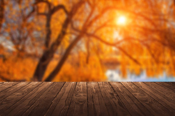 mock up of wooden table with epmty place for presentation and show products and goods again the autumn landscape - epmty imagens e fotografias de stock