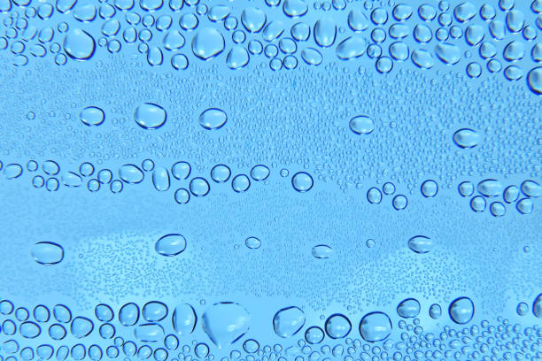 Water ( rain ) drops on a blue background ... copy space.