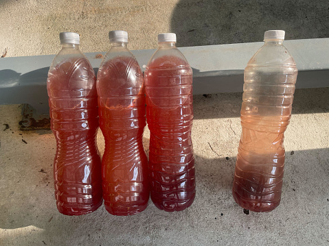 Group of plastic bottles filled with photosynthetic bacteria liquid in a row.