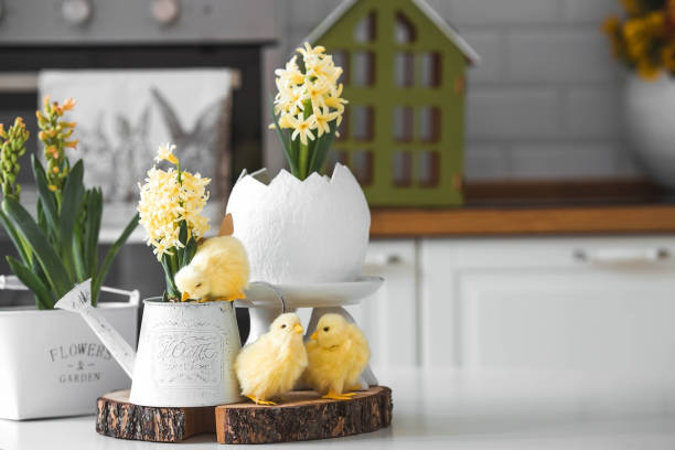 istock Happy Easter. Spring yellow hyacinth flowers in an egg-shaped vase, chicken chicks on a white table. In the background is a white Scandinavian-style kitchen. Easter decor in the house. 2091375983