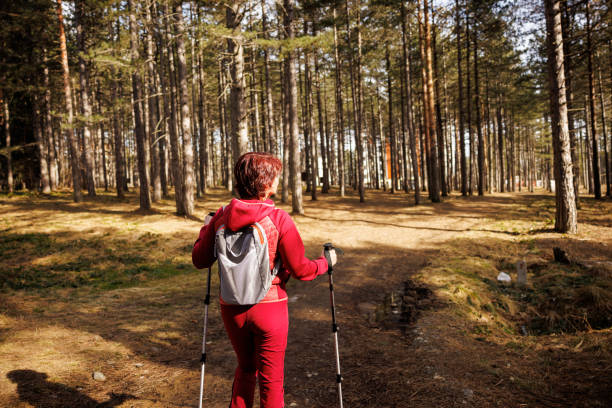 istock Woman hiking in beautiful sunny forest 2091431960