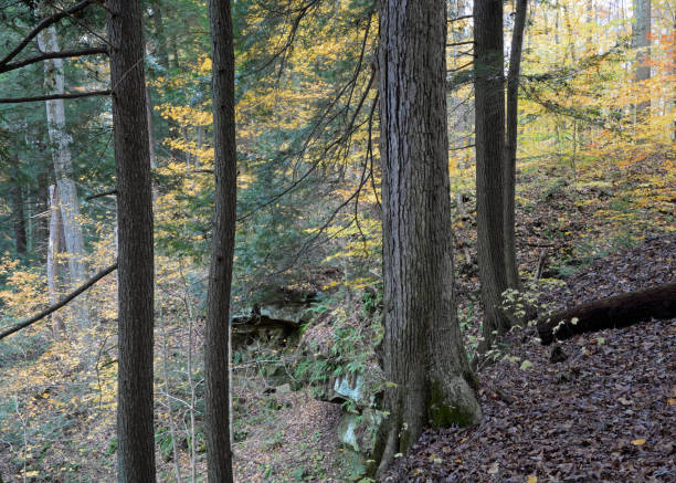 istock Shades State Park, Waveland, Indiana 2091437780