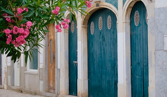 Horizontal closeup of the front facade of a traditional house in the old centre of Arles with a green painted front door and two pot plants