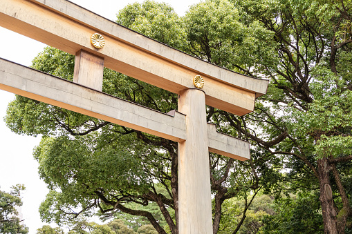 Tokyo, Japan - October 7, 2023:  A large wooden torii gate marking the entrance to the public Yoyogi park, in the Shibuya district of Tokyo, Japan dedicated to the deified spirits of Emperor Meiji and his wife Empress Shoken in Tokyo