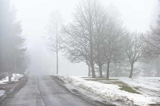 road and park in fog in early spring in Finland