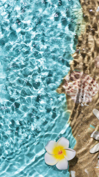 istock Sea water, sand and seashells background. 2091459149