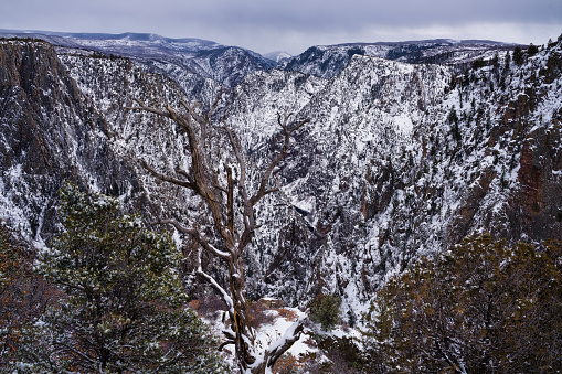 Black Canyon of the Gunnison with Fresh Snow - Scenic winter landscape of dark canyon views from South Rim of canyon. Rugged canyon after fresh snow storm.