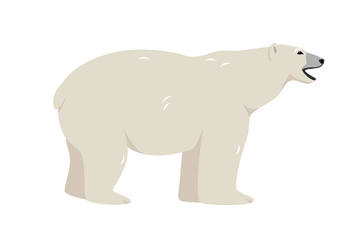 White Polar bear icon on white background. Wild polar Bear animal of the Arctic and the Arctic Circle. Vector icon illustration.