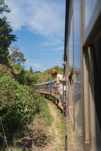 istock Young man travels on train through rainforest 2091506136