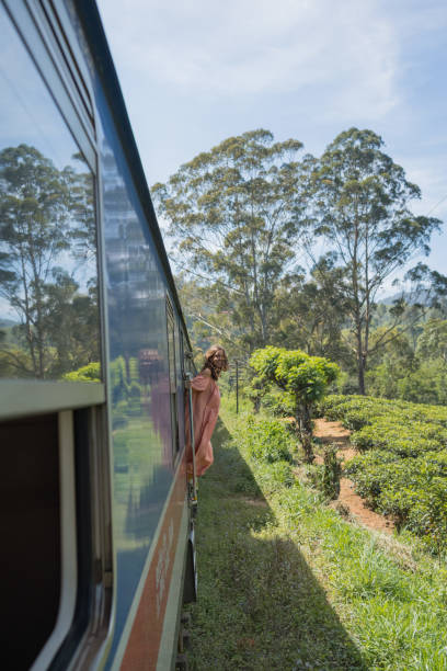 istock Young woman travels on train through rainforest 2091507750