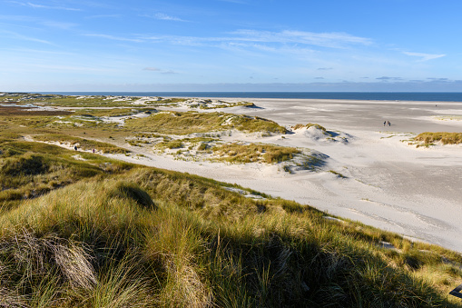 Amrum island, Germany: at the beach of Amrum. sunny weather, dune landscape