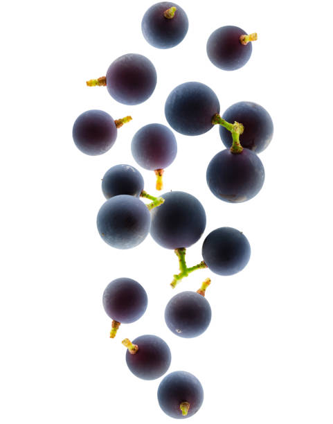 istock Berries of black grapes fall in space. Surround back light. Isolated on white 2091562496
