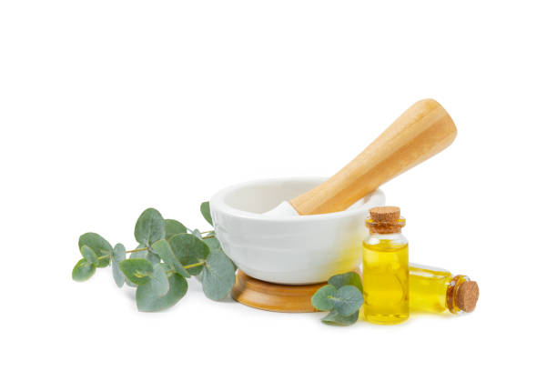 istock Eucalyptus leaves and mortar isolated on white background.Spa concept.Ingredients for alternative medicine and natural cosmetics. A bottle of essential oil and a bunch of eucalyptus. Organic skin care 2091588707