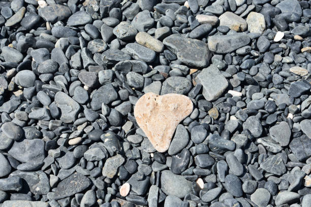 Beautiful heart shaped stone on a beach filled with dark stone.