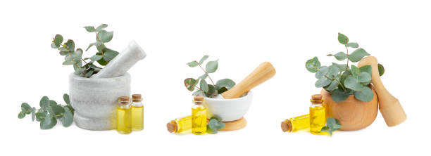 Eucalyptus leaves and mortar isolated on white background.Spa concept.Ingredients for alternative medicine and natural cosmetics. A bottle of essential oil and a bunch of eucalyptus. Organic skin care