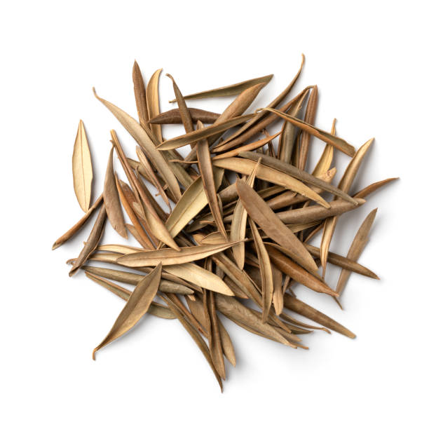 istock Heap of dried olive leaves as an ingredient on white background 2091609821