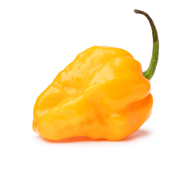 istock Single fresh raw yellow Adjuma pepper close up on white background 2091613990
