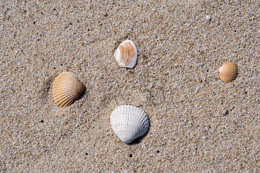 Pile Sand Isolatd on White Background. macro small heap mountain Desert Dry Sandy Beach at Coast of Sea Shore. particle striped texture nature. Tropical Summer Travel Holidays and Environment concept.