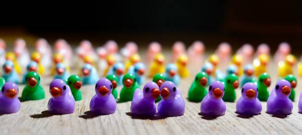 Rows of ducks colour coordinated in colours blue, purple, green, white, yellow and pink, with the two front ducks kissing or hugging
