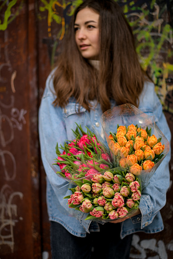 Delightful sweet tulips in a hands of of a dark hair girl in a denim long shirt on a dark background