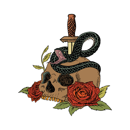 A Human Skulls with Roses Venomous Snake and Dagger on white background Illustration Vector