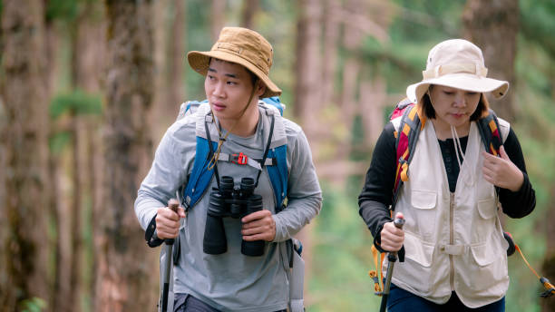 istock Hiking Couple backpacker in the pine forest. 2091714556