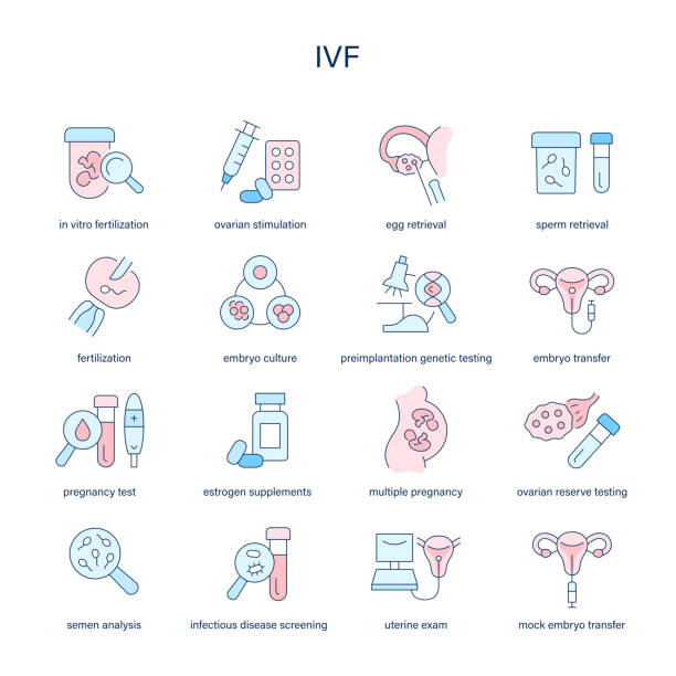 ilustrações, clipart, desenhos animados e ícones de fiv, ícones vetoriais de fertilização in vitro. conjunto de ícones médicos. conjunto de ilustrações da saúde da mulher. - retrieval