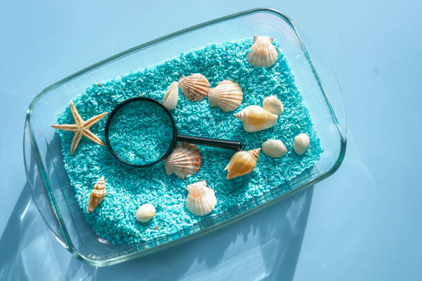 istock A child studies sand and shells, an idea for an activity with a child 2091879869