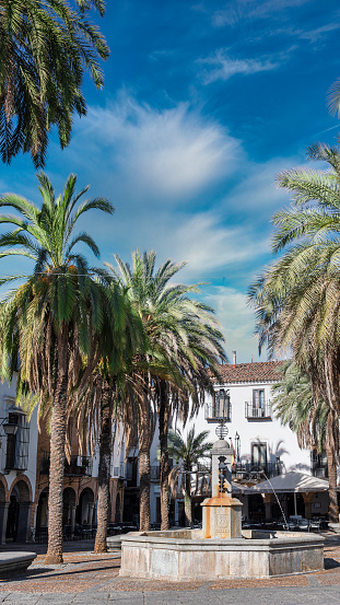 Fuente de piedra en la plaza Grande ajardinada con palmeras de la hermosa villa de Zafra, España. Con cielo editado