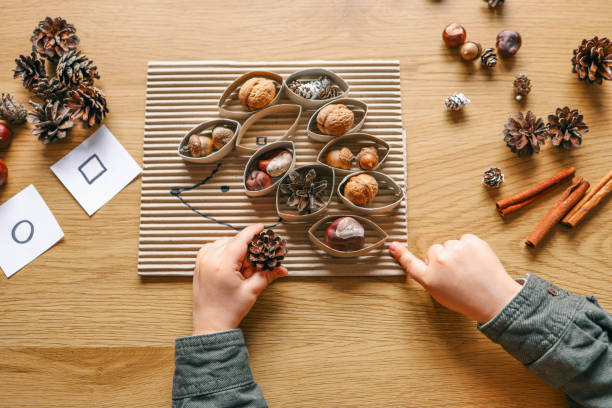 Montessori and Sensory Development, A child plays with natural materials