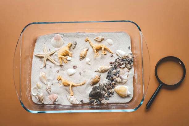 istock Sensory activity of a child, idea for an activity, top view 2091910190