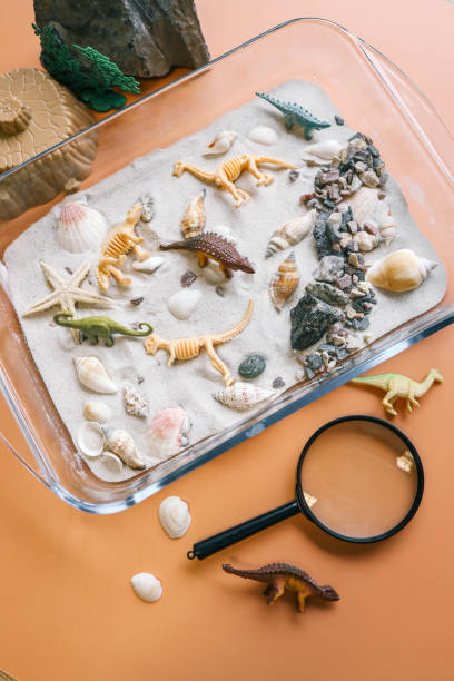 istock Sensory activity of a child, idea for an activity, top view 2091910204