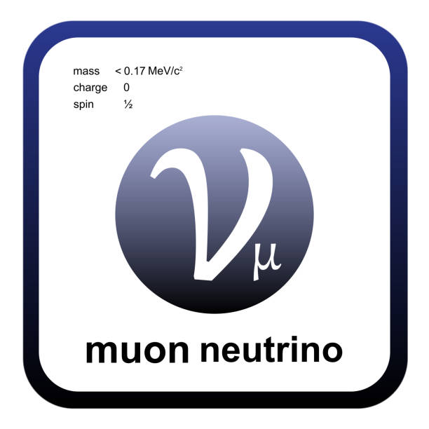 ilustraciones, imágenes clip art, dibujos animados e iconos de stock de modelo estándar de partículas elementales: quarks, leptones, bosones gauge, bosones vectoriales. neutrino muónico. - neutrino