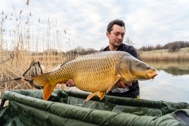 Fisherman holding a huge carp at the lake.