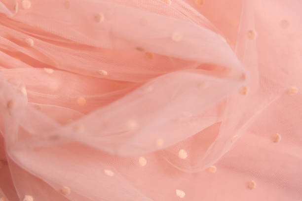 istock Tulle fabric texture background, textile pattern, pink polka dot on tulle, copy space 2091989757