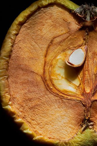 The cut of a shriveled green apple on a black background close-up