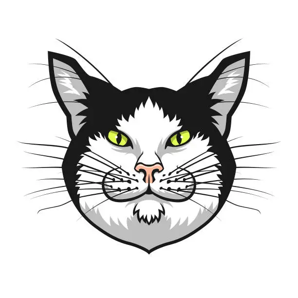 Vector illustration of Whiskered Black And White Cat Head