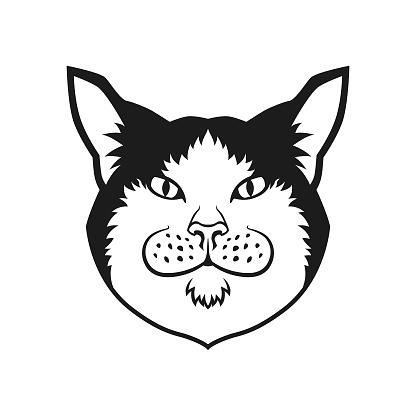 Stylized cut out silhouette of a cute fat black and white cat head - cat character mascot icon on white background