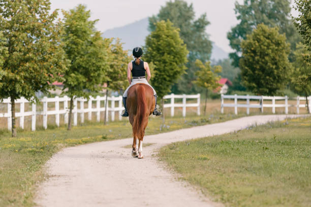 istock Horseback riding along the trail between wood fences and fields 2092148055