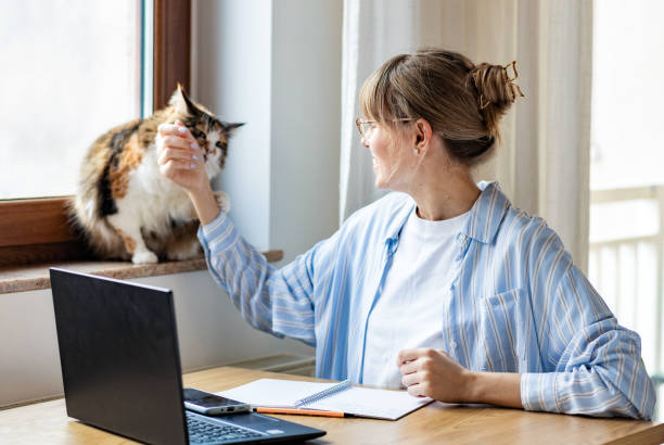 istock woman freelancer using laptop working online at home 2092152257