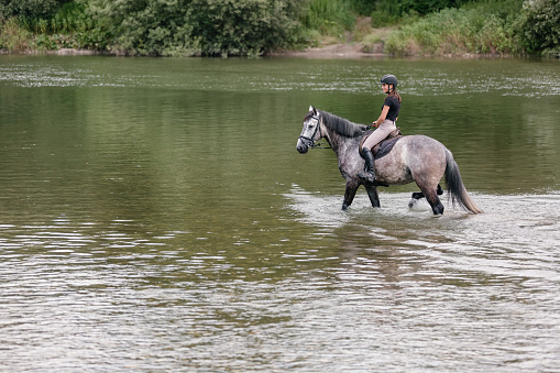 Gray horse with a female rider in the saddle walking through river water. Ecotourism and equestrian recreation sport concept.